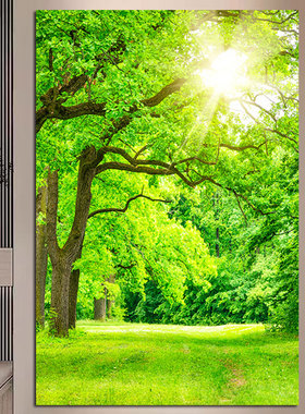 发财树大树装饰画树木贴画绿色护眼客卧室厅竖版招财玄关壁画挂画