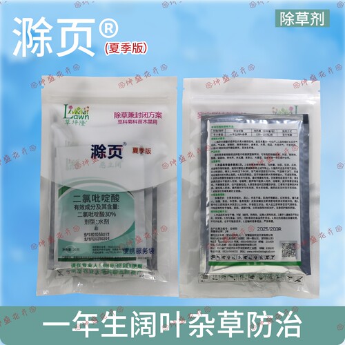 草坪隆滁页恶性阔叶杂草除草剂