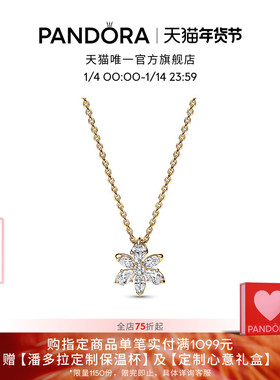 Pandora潘多拉闪耀花朵标本项链金色精致百搭送女友礼物