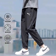 PUMA彪马官方速干裤子长裤男裤直筒裤夏季新款男士冰丝休闲运动裤
