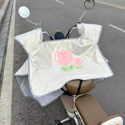 小红书夏季电动车挡风被遮阳防晒