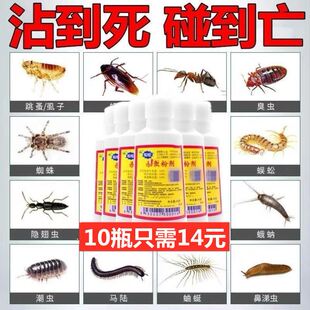 柏松百虫灵粉杀虫王粉剂狗狗蟑螂跳蚤药粉末泊松剂跳骚药粉白虫剂