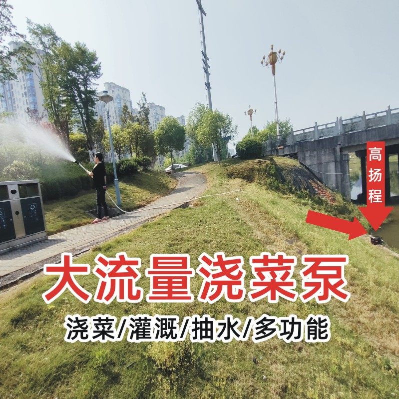 大流量自吸泵充电式抽水泵农用浇菜灌溉神器浇水机小型电动抽水泵