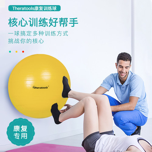theratools巴氏球专业康复训练球