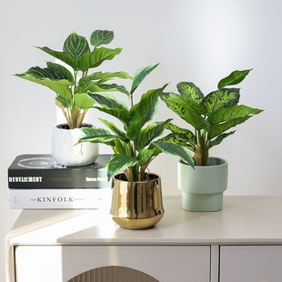 新款仿真万年青盆景花盆摆件假绿植绿叶室内客厅植物家居桌面盆栽