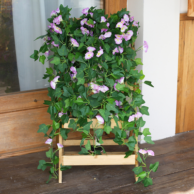 仿真牵牛花喇叭花藤蔓