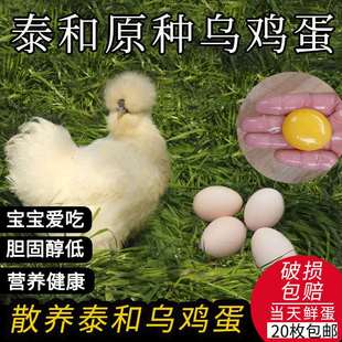 正宗泰和乌鸡蛋江西白凤乌骨鸡农家散养新鲜土鸡蛋宝宝蛋20枚包邮