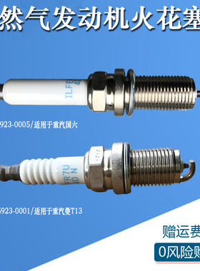 适用于重汽豪沃T7H天然气发动机MT13火花塞202V25923-0001/0005