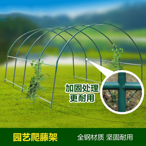 钢管大棚骨架植物花卉爬藤架