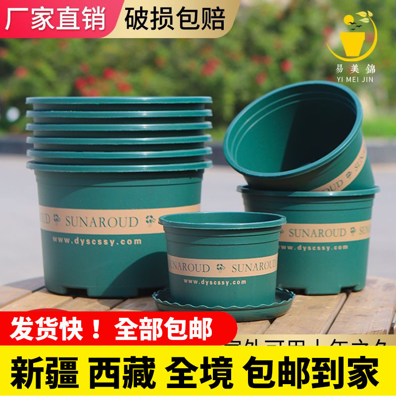 新疆西藏包邮新款加仑花