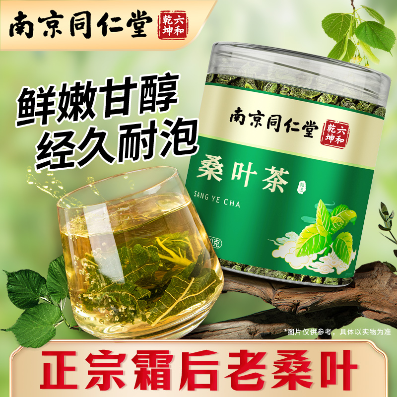 南京同仁堂桑叶茶霜后霜降秋后霜打桑叶