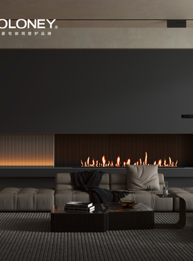 MOLONEY莫洛尼EVA高端系列智能酒精真火壁炉取暖器家用装饰室内