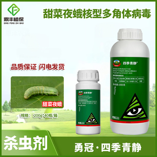 勇冠四季青静甜菜夜蛾核型多角体病毒辣椒甜菜夜蛾生物农药杀虫剂