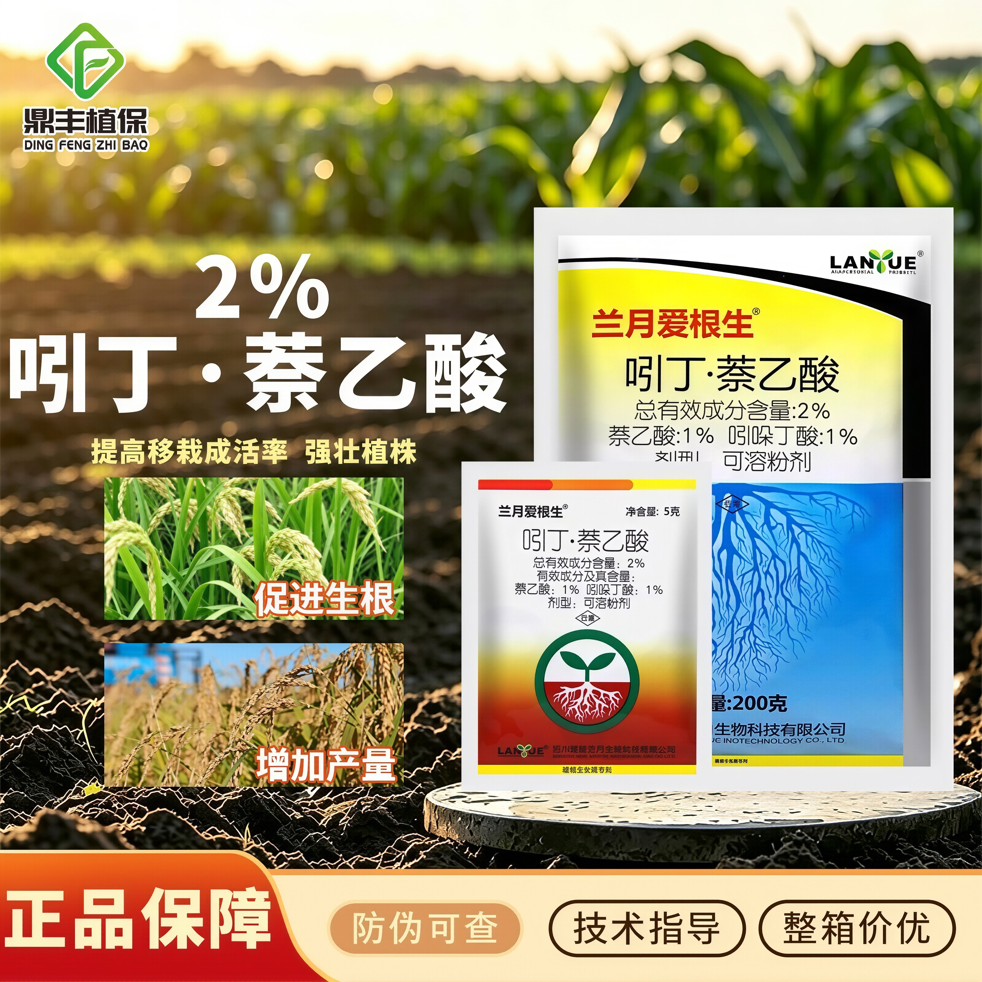兰月爱根生吲丁萘乙酸 苗木移栽促进生根吲哚丁酸发根农药调节剂