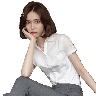 冰丝白衬衫女短袖夏季新款职业气质高级工作服工装白色女士衬衣夏