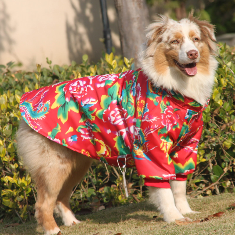 潮牌大型犬金毛边牧狗衣服秋冬加厚金毛棉衣冲锋衣秋冬大狗冬装