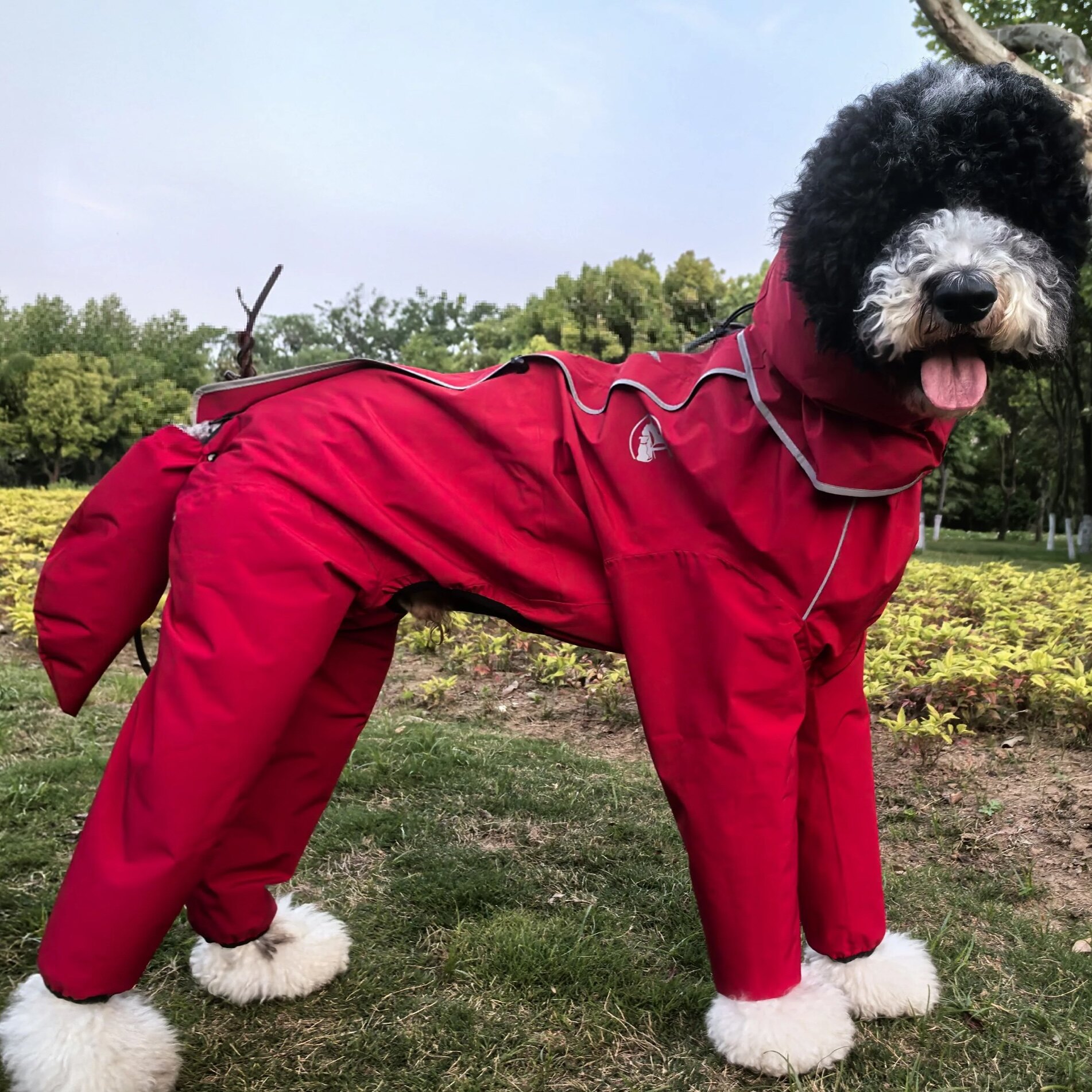【大长腿巨贵专用】腰部可调节巨贵犬冲锋衣雨衣杜宾秋田加长雨衣