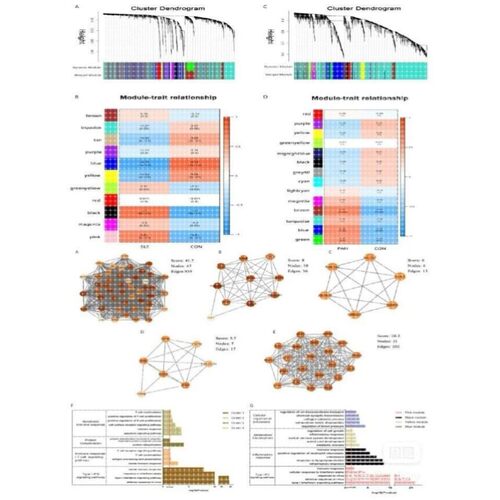 WGCNA GSEA生信分析,GEO TCGA数据挖掘
