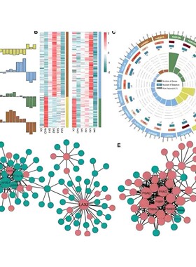 NCBI blast多序列比对共线性分析比较基因组生信16s菌株鉴定服务