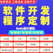 计算机程序设计java代编安卓net网站php软件python大数据开发系统
