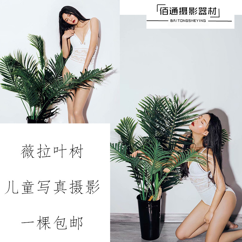 个性写真拍照绿植薇拉叶树儿童写真摄影道具影楼仿真树铁桶装饰桶