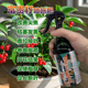 富贵子专用肥料花盆景花肥富贵籽树朱砂根专用土壤营养液叶面肥料
