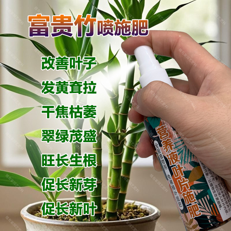 富贵竹专用肥料土培水培植物营养液叶子发黄耷拉干焦枯叶面肥肥料,鲜花速递/花卉仿真/绿植园艺,家庭园艺肥料,淘宝优惠券,粉丝福利购,淘宝优惠卷