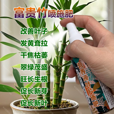富贵竹专用肥料土培水培植物营养液叶子发黄耷拉干焦枯叶面肥肥料