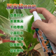 聚宝盆专用肥料绿植物营养液叶面肥叶子发黄焦尖干枯卷曲叶面肥料