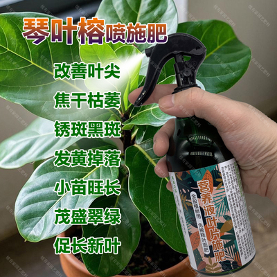 琴叶榕专用肥料绿植物营养液有机肥小苗旺长茂盛翠绿长新叶面肥料