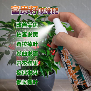 富贵子专用肥料花盆栽开花肥富贵籽树专用土朱砂根营养液叶面肥料