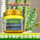 钱串子专用肥料养殖钱多多肉植物钱串锦前程似锦营养液叶面肥肥料