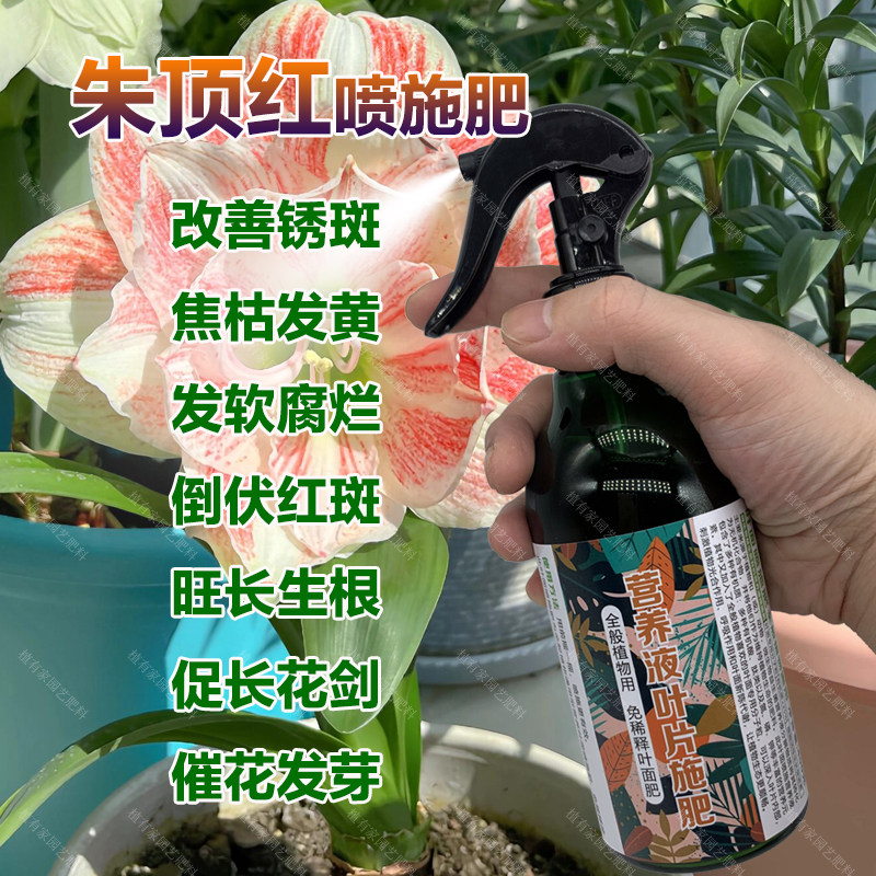 朱顶红专用肥料盆栽营养液叶面肥旺长生根促长花剑催花发芽花肥料,鲜花速递/花卉仿真/绿植园艺,家庭园艺肥料,淘宝优惠券,粉丝福利购,淘宝优惠卷