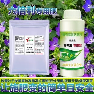 六倍利专用肥料盆栽花苗花肥营养液旺长茂盛开花促使发芽叶面肥料