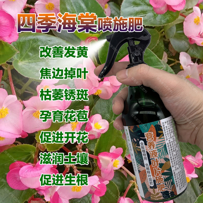 四季海棠花专用肥料养护土营养液长花蕾开花肥长叶子分枝叶面肥料