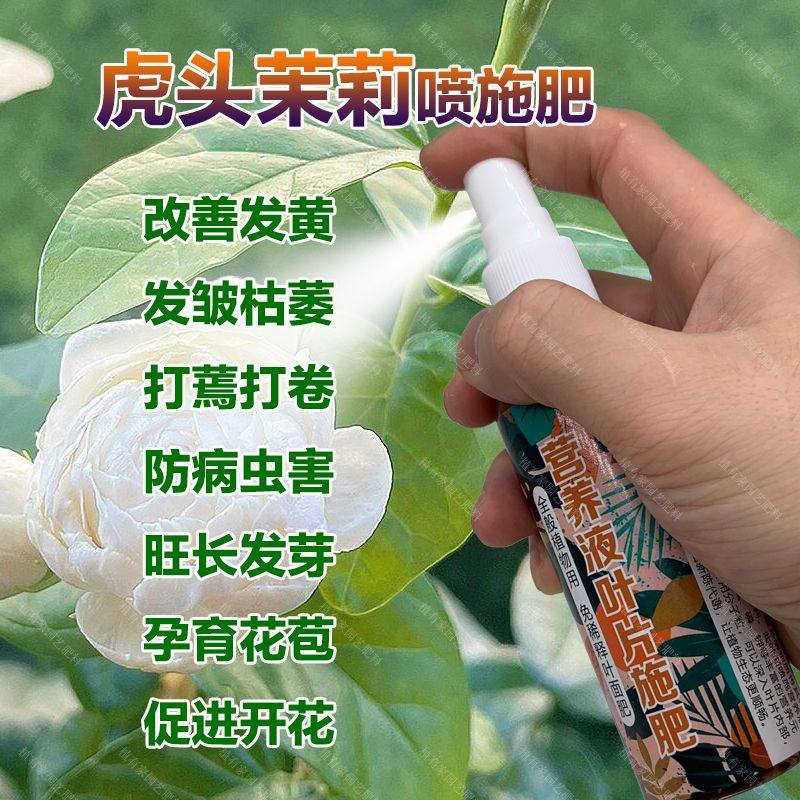 虎头茉莉专用肥肥料茉莉花叶子发黄干枯萎掉叶片卷曲打蔫用营养液,鲜花速递/花卉仿真/绿植园艺,家庭园艺肥料,淘宝优惠券,粉丝福利购,淘宝优惠卷
