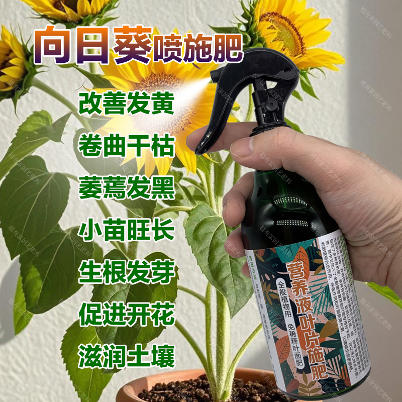 向日葵专用肥料种植花肥盆栽营养液开花肥长瓜子发新芽长叶面肥料