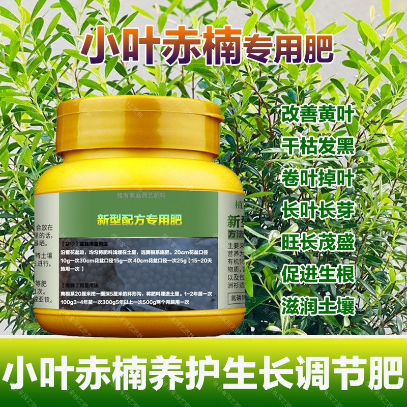 小叶赤楠专用肥料盆景植物营养液防叶尖枯萎发黄焦黑卷曲斑点肥料,鲜花速递/花卉仿真/绿植园艺,家庭园艺肥料,淘宝优惠券,粉丝福利购,淘宝优惠卷
