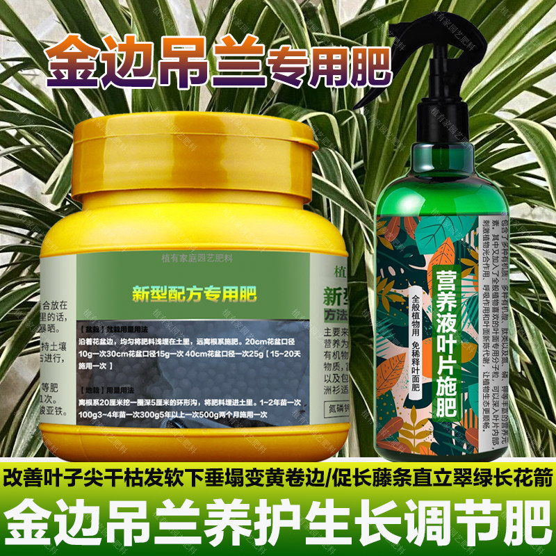 金边吊兰专用肥料盆栽种球水培土开花营养液叶面肥金边吊兰花肥料