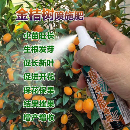 金桔树专用肥料金桔树苗营养液开花保花保果结果挫果增产增收肥料