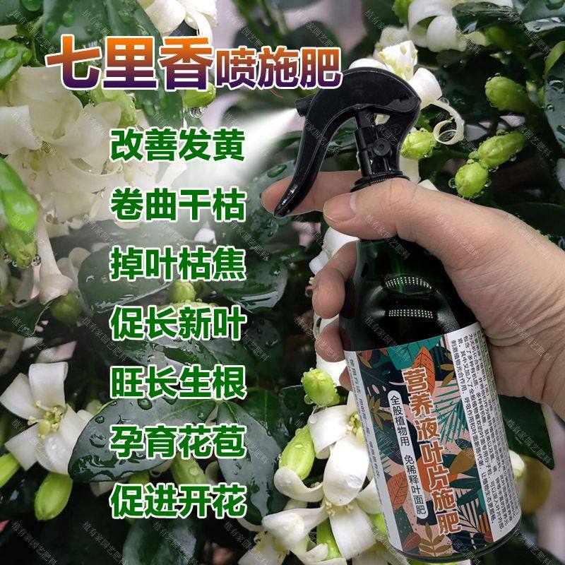 七里香花盆栽专用肥料绿植花卉营养液长新芽爬藤花苗土壤开花肥料,鲜花速递/花卉仿真/绿植园艺,家庭园艺肥料,淘宝优惠券,粉丝福利购,淘宝优惠卷