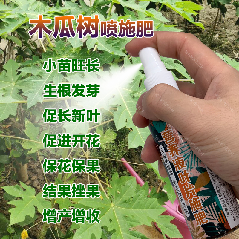 木瓜果专用肥料木瓜树苗营养液开花保花保果结果挫果增产增收肥料
