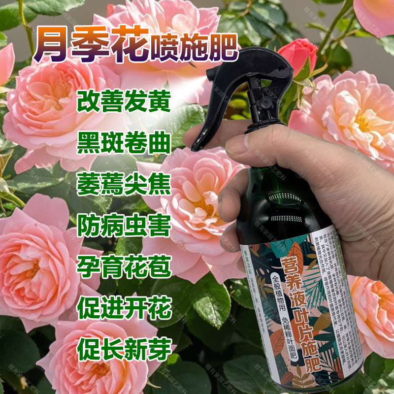 月季花专用肥料养殖爬藤盆栽玫瑰蔷薇花肥专用土壤营养液叶面肥料,鲜花速递/花卉仿真/绿植园艺,家庭园艺肥料,淘宝优惠券,粉丝福利购,淘宝优惠卷