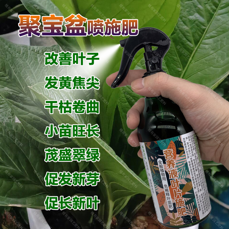 聚宝盆专用肥料养殖绿植花盆栽专用土花肥养护营养液喷剂叶面肥料,鲜花速递/花卉仿真/绿植园艺,家庭园艺肥料,淘宝优惠券,粉丝福利购,淘宝优惠卷