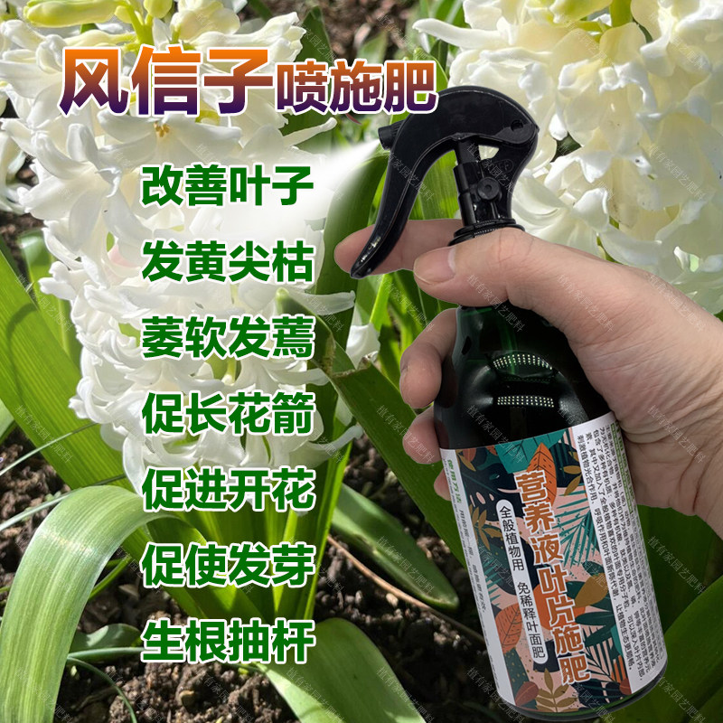风信子专用肥料花肥种球营养液开花肥长花箭发芽生根抽杆叶面肥料,鲜花速递/花卉仿真/绿植园艺,家庭园艺肥料,淘宝优惠券,粉丝福利购,淘宝优惠卷