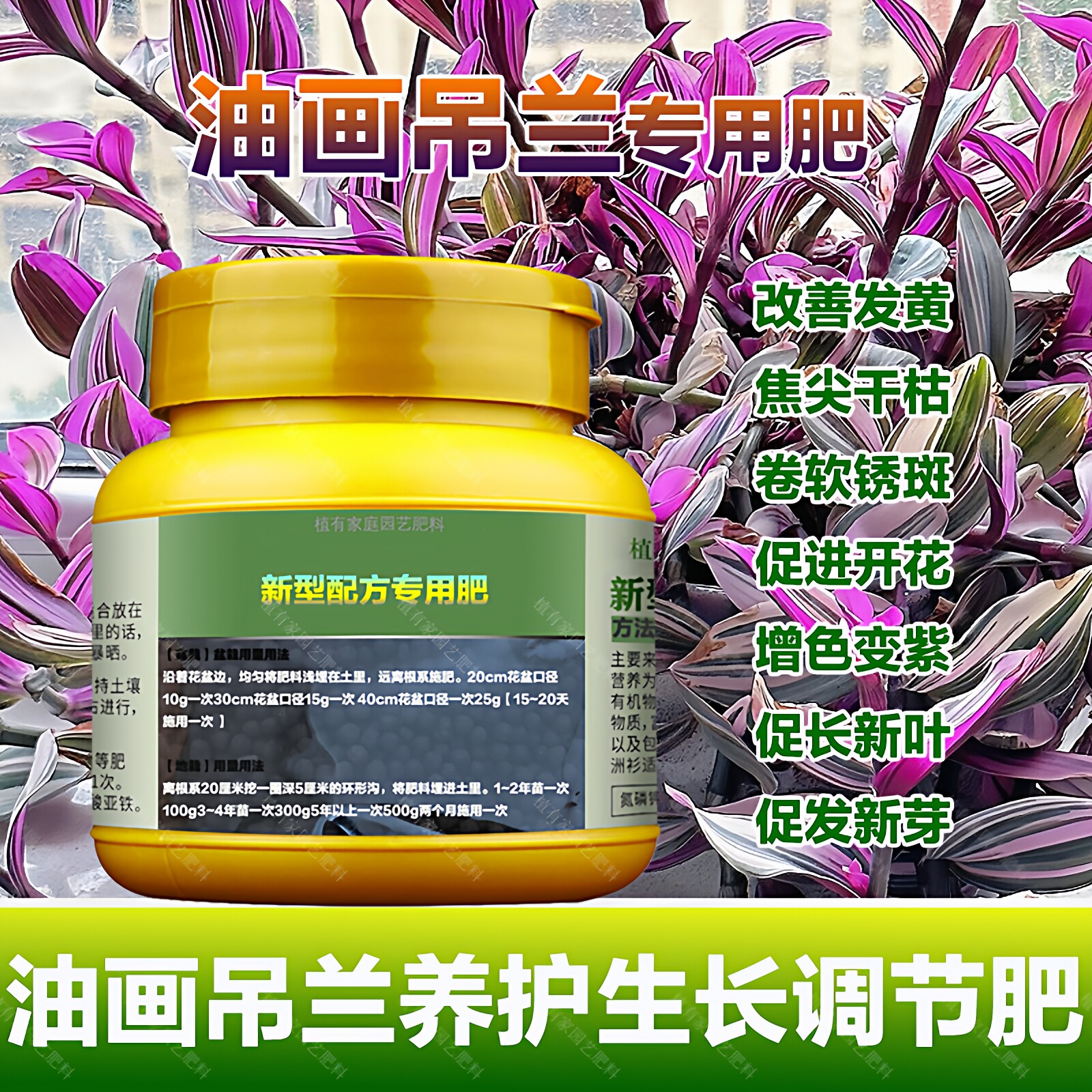 婚礼油画吊兰专用肥料养殖爆土培水培油画吊兰花肥营养液叶面肥料