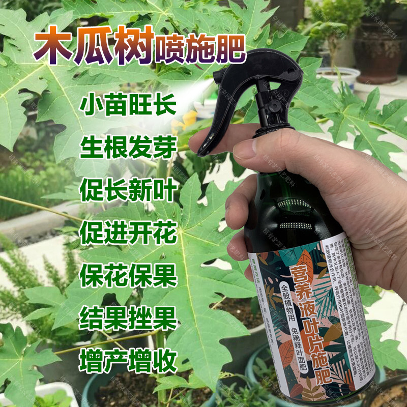 木瓜树专用肥料盆栽小苗旺长生根促发新芽长新叶面肥营养液化肥料,鲜花速递/花卉仿真/绿植园艺,家庭园艺肥料,淘宝优惠券,粉丝福利购,淘宝优惠卷