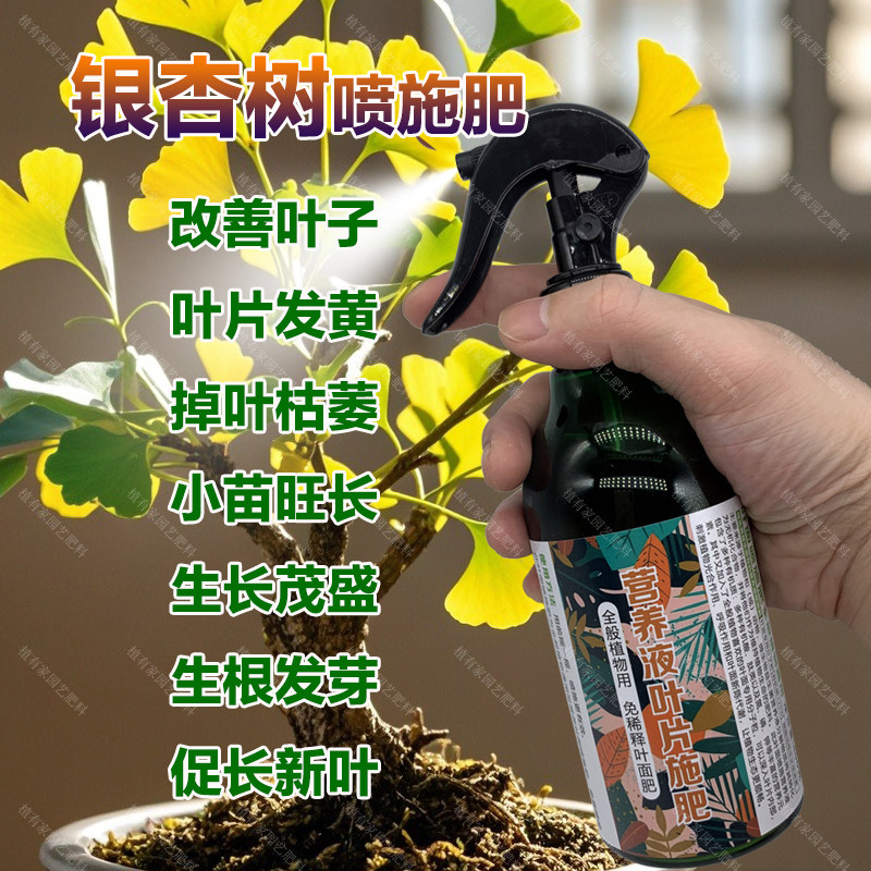 银杏树专用肥料盆栽种植树苗盆景大树专用土壤营养液喷剂叶面肥料,鲜花速递/花卉仿真/绿植园艺,家庭园艺肥料,淘宝优惠券,粉丝福利购,淘宝优惠卷