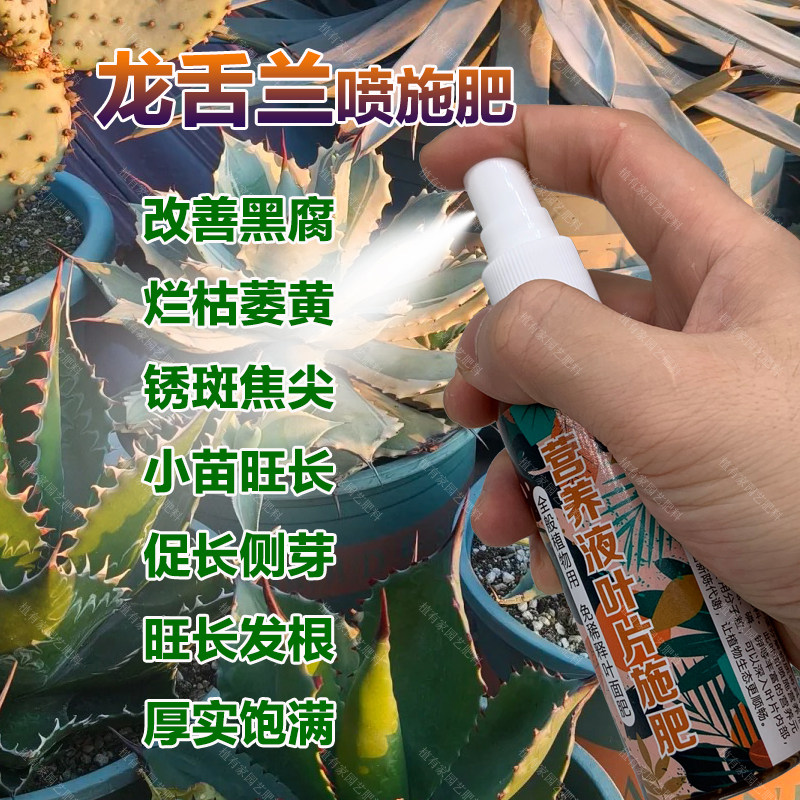 龙舌兰专用肥料盆栽植物土壤营养液黑腐烂枯萎黄锈斑焦尖叶面肥料,鲜花速递/花卉仿真/绿植园艺,家庭园艺肥料,淘宝优惠券,粉丝福利购,淘宝优惠卷