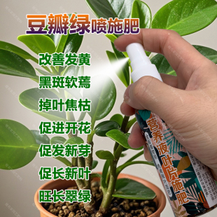 豆瓣绿专用肥料土青叶碧玉营养液叶子发黄黑斑软蔫干瘪掉叶面肥料